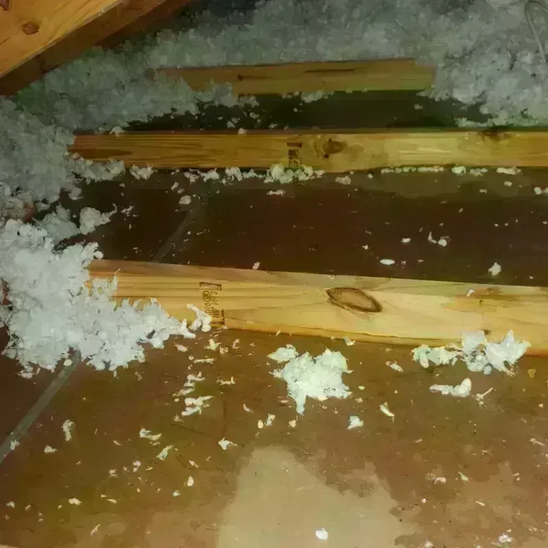 Attic Water Damage in Marion County, IA