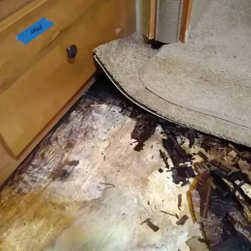 Wood Floor Water Damage in Marion County, IA